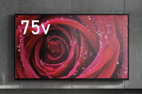 75インチ大型テレビ